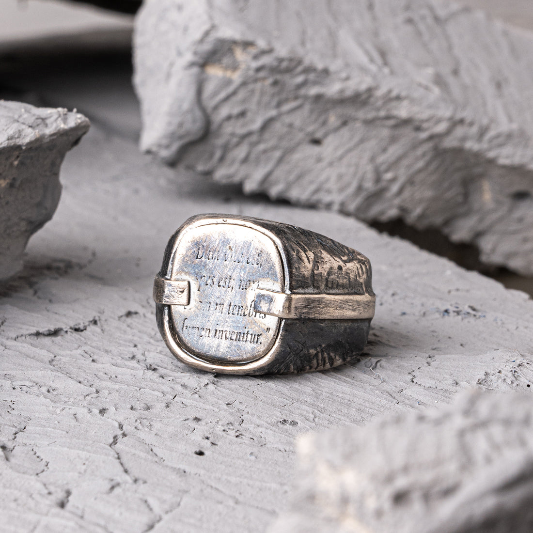 Rare Oxidized Silver Ring